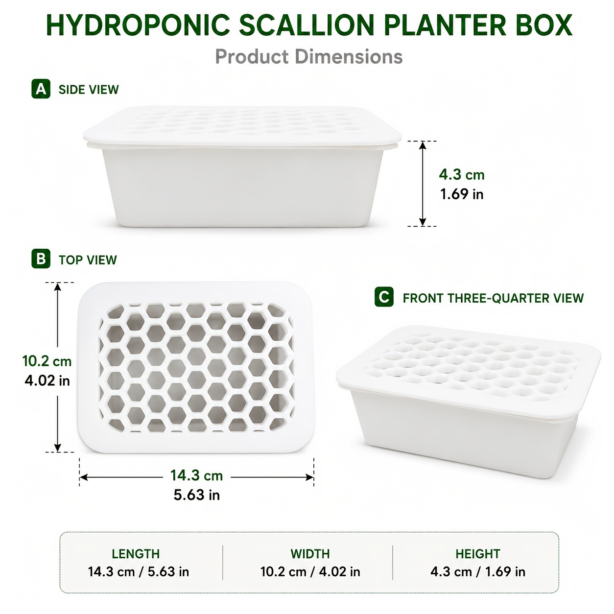 Hydroponic Scallion Planter Box with Multi-Hole Holder Lid