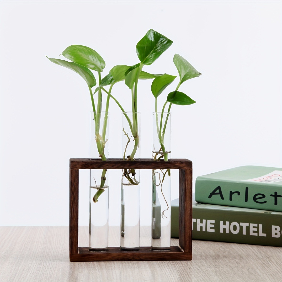 Glass Plant Container with Wooden Stand