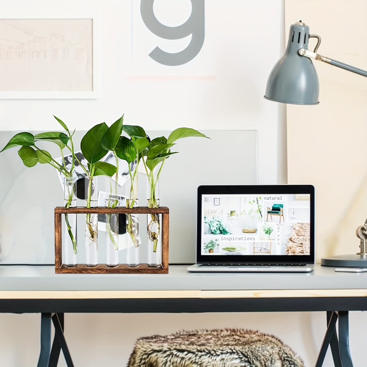 Glass Plant Container with Wooden Stand