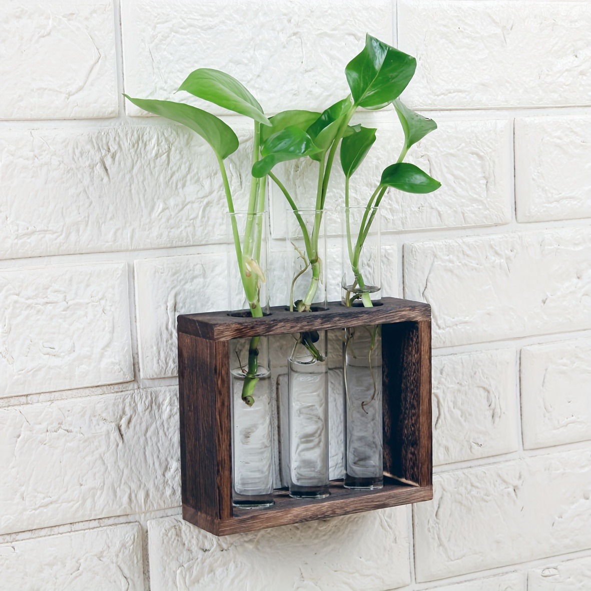 Glass Plant Container with Wooden Stand