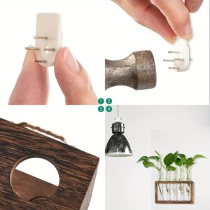 Glass Plant Container with Wooden Stand