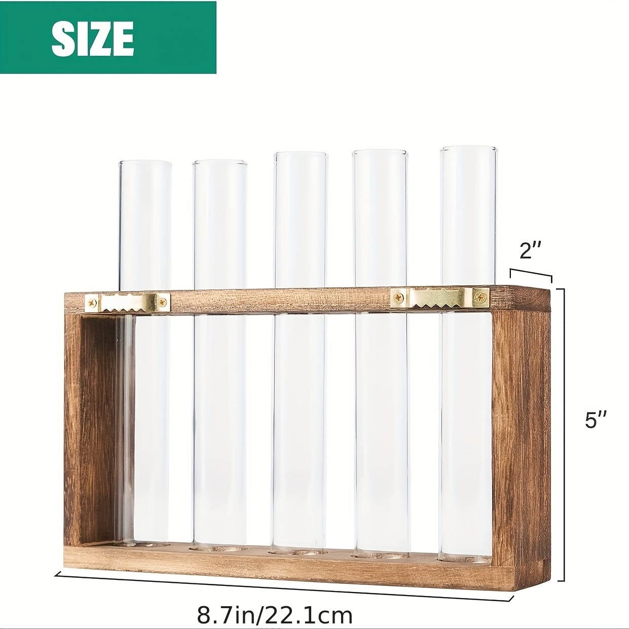 Glass Plant Container with Wooden Stand