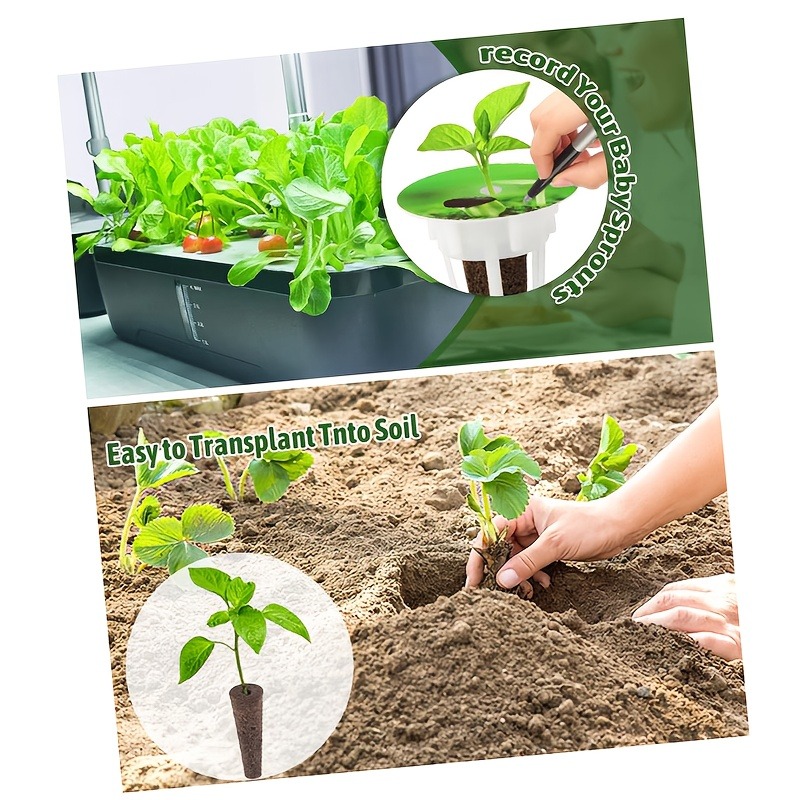 81pcs Garden Seed Jar Set