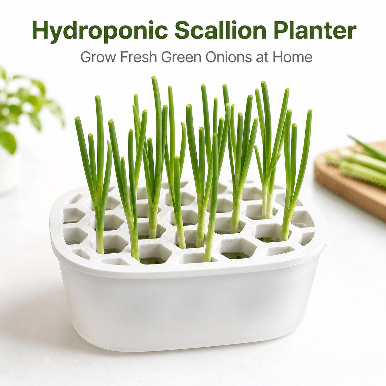 Hydroponic Scallion Planter Box with Multi-Hole Holder Lid