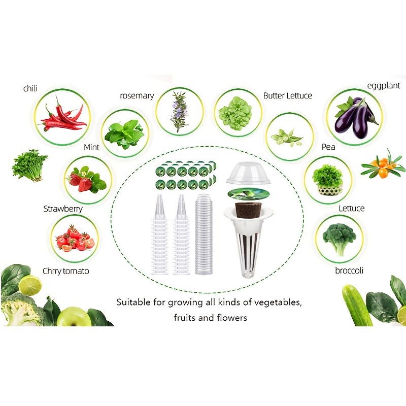 81pcs Garden Seed Jar Set