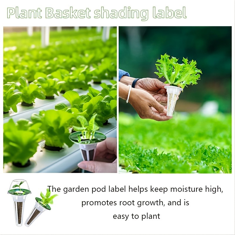81pcs Garden Seed Jar Set