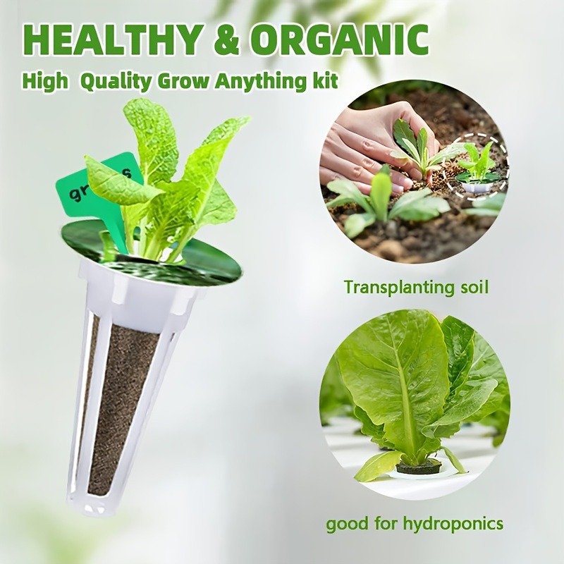 81pcs Garden Seed Jar Set