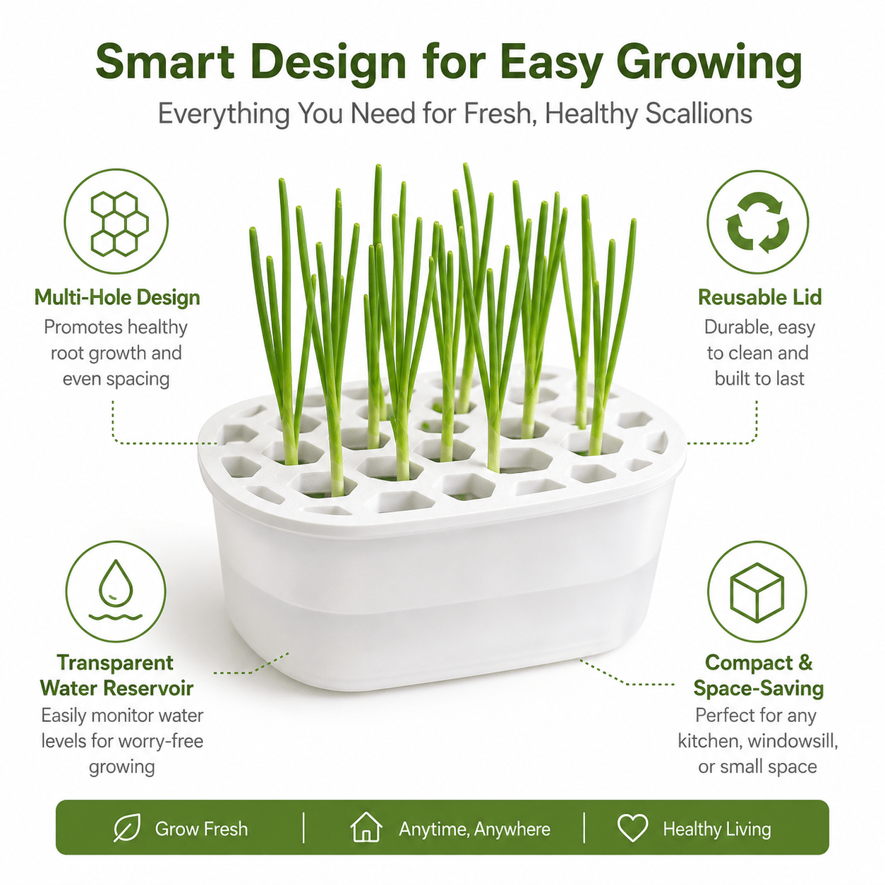 Hydroponic Scallion Planter Box with Multi-Hole Holder Lid
