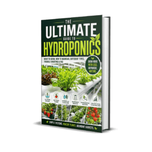 The Ultimate Guide to Hydroponics